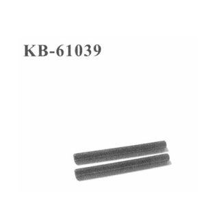 KB-61039 Hinge Pins Querlenker vorne innen