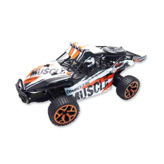 Sand Buggy Extreme D5