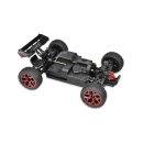 Buggy Storm D5 "red"