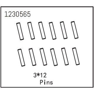 Pins 3*12 (12 St.) ABSIMA 1230565