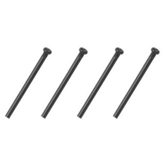 Round head screws (2.3x28)             ABSIMA AB30-LS03
