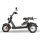 E-Scooter Trike mit Straßenzulassung und drei Räder Trike HM7 - ca. 35km Reichweite, 2 Motoren | 60V | 4000W | 20AH Akku-Schwarz