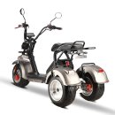 E-Scooter Trike mit Straßenzulassung und drei Räder Trike HM7 - ca. 35km Reichweite, 2 Motoren | 60V | 4000W | 20AH Akku-Silber