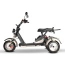 E-Scooter Trike mit Straßenzulassung und drei Räder Trike HM7 - ca. 35km Reichweite, 2 Motoren | 60V | 4000W | 20AH Akku-Silber